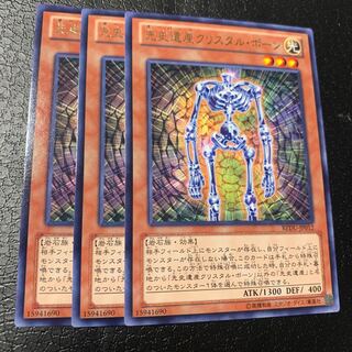 先史遺産クリスタル・ボーン レア