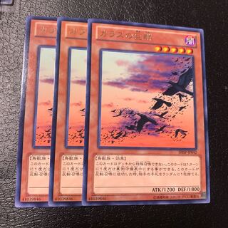 カラスの巨群 レア