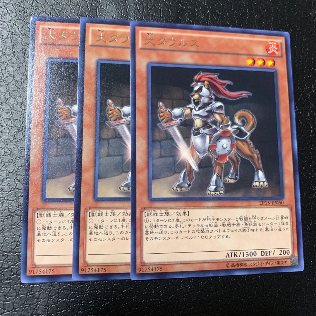 犬タウルス レア