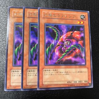 幻惑のラフレシア レア