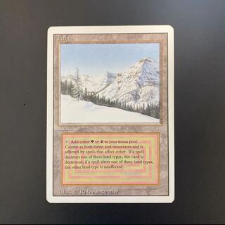 MTG Taiga 英語 1枚