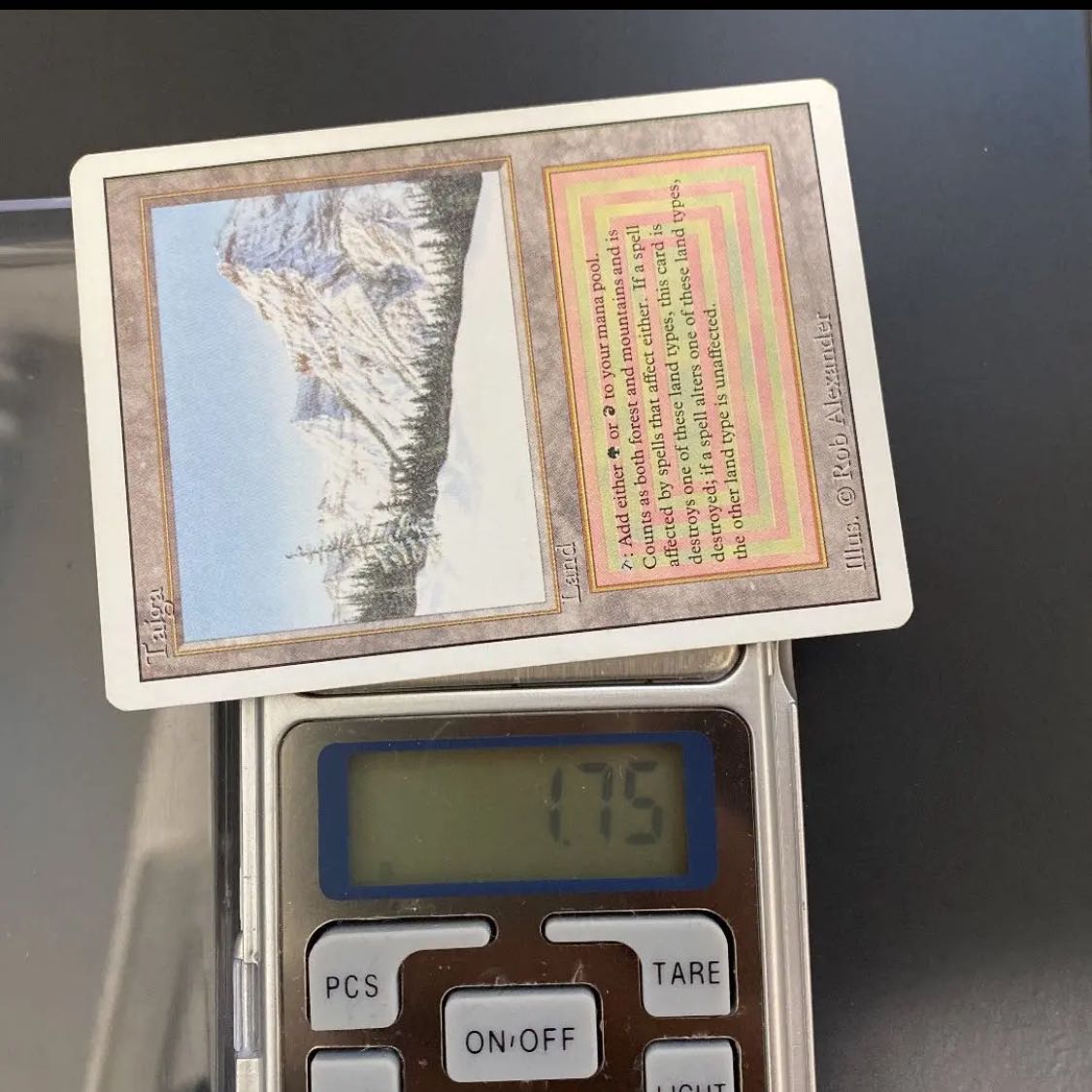 MTG Taiga 英語 1枚