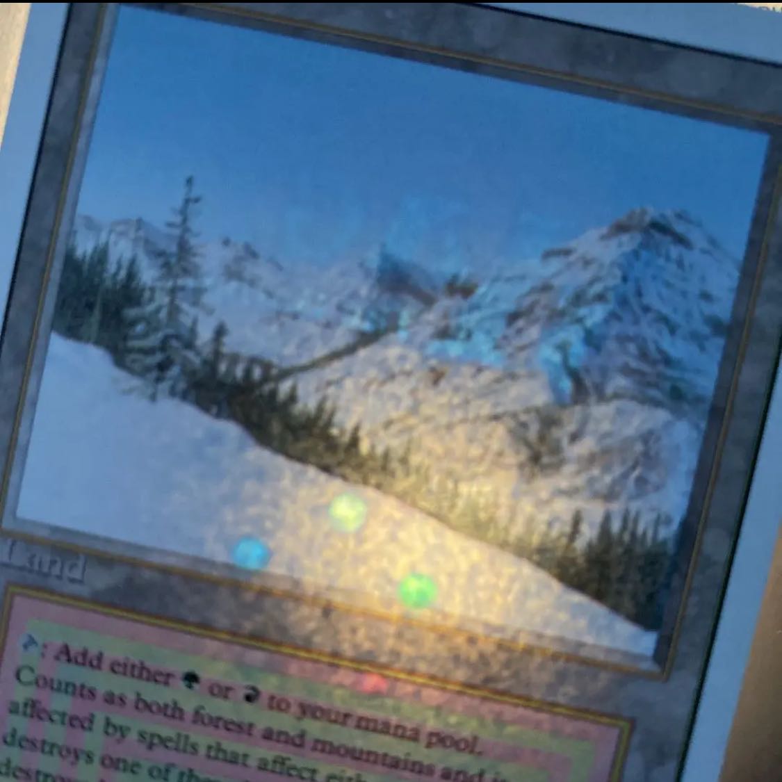 MTG Taiga 英語 1枚