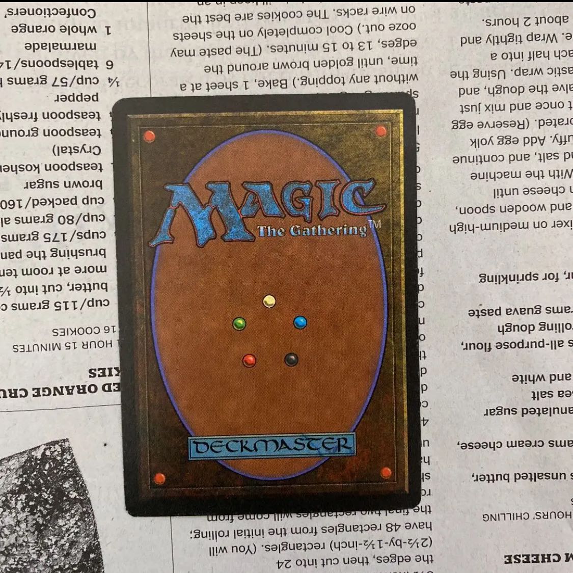 MTG Taiga 英語 1枚