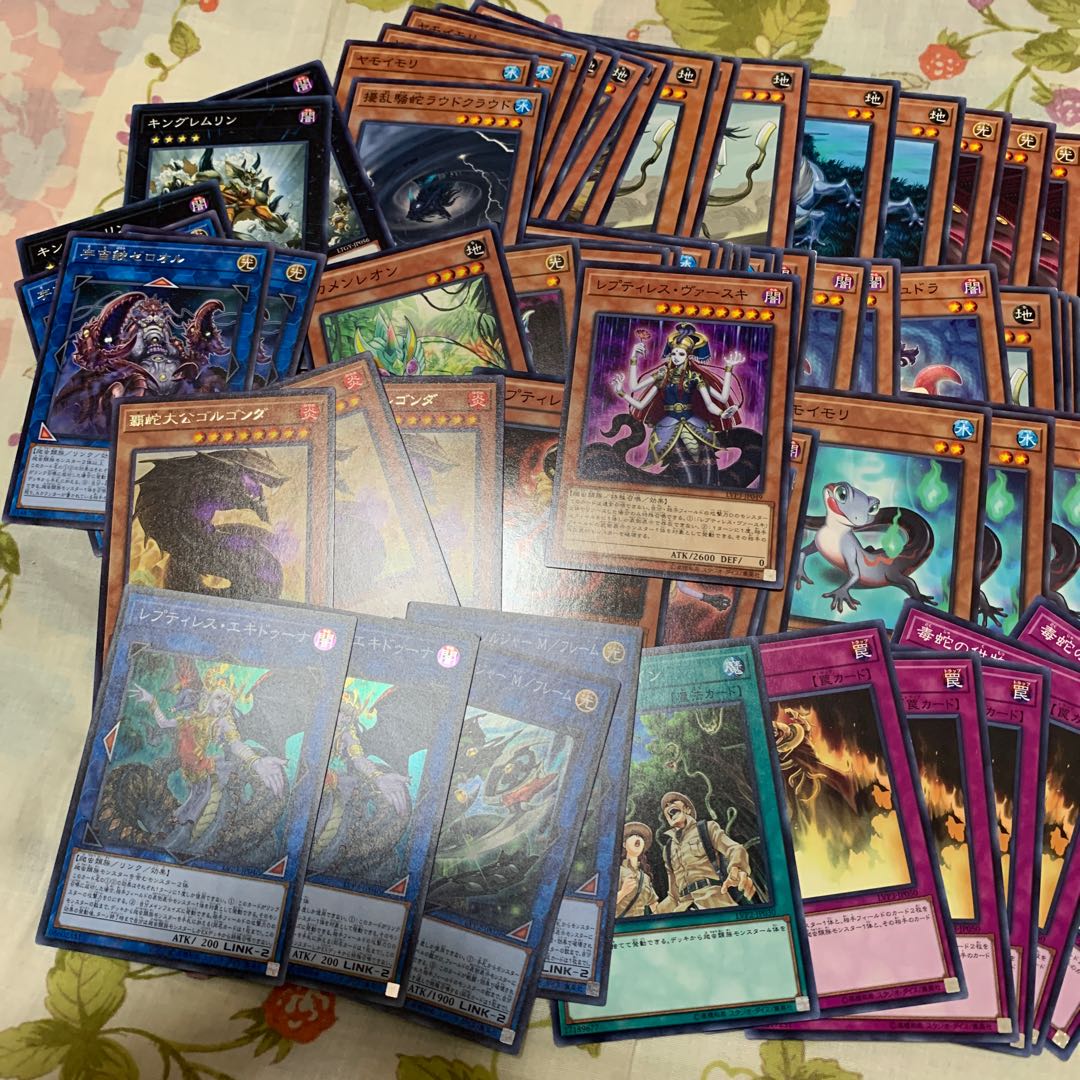 レプティレス・ヴァースキ 爬虫類まとめ売り