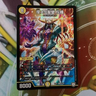 煌メク聖壁 灰瞳