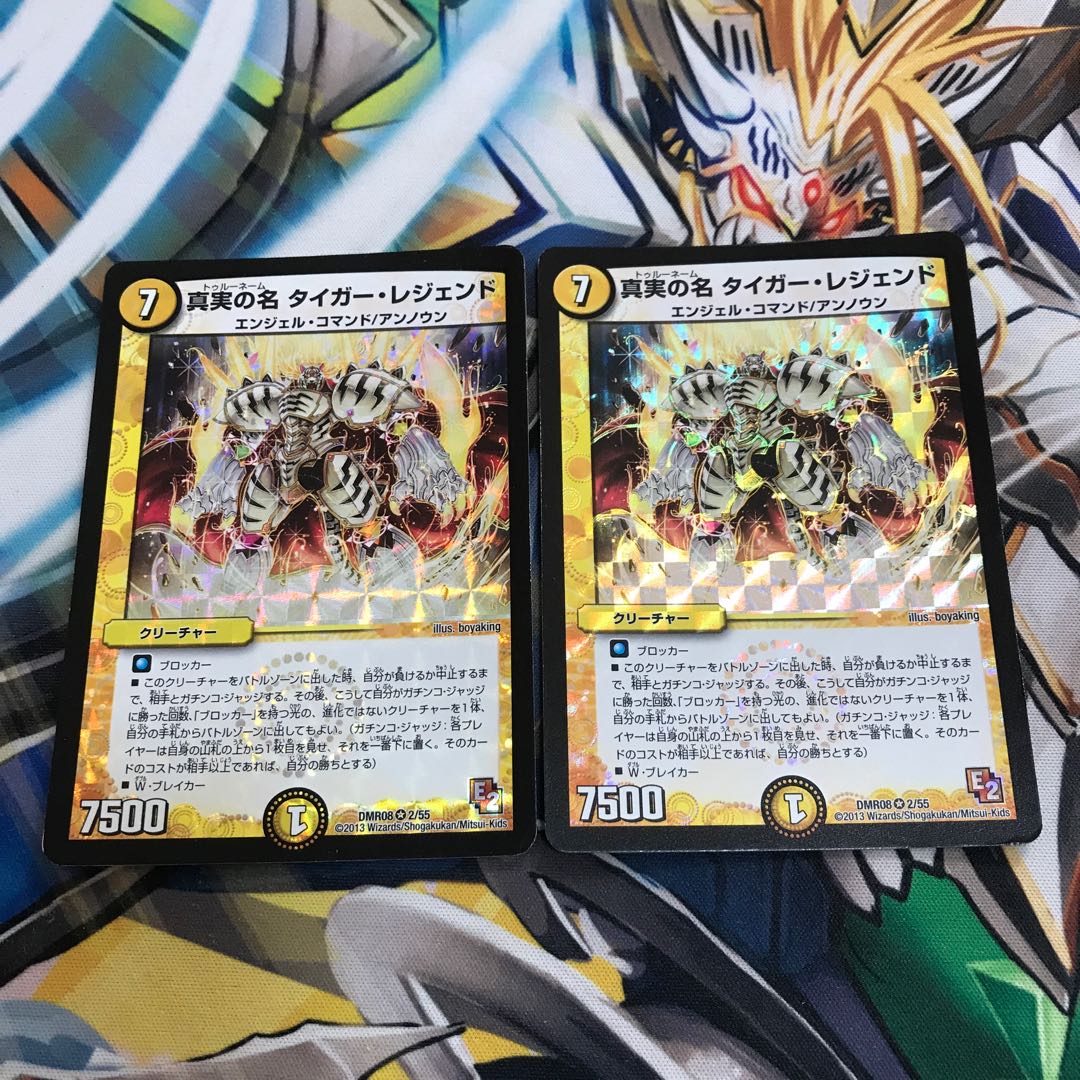 真実の名 タイガー・レジェンド