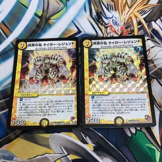 真実の名 タイガー・レジェンド