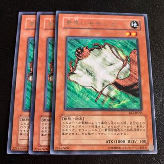 素早いモモンガ