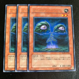 ダーク・ヴァージャー レア