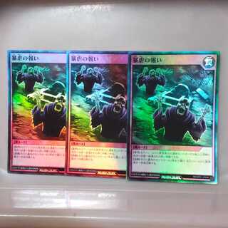 暴虐の報い(SR)3枚セット！