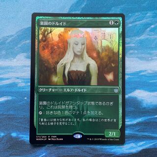 MTG foil Paradise Druid