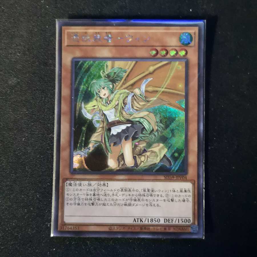 憑依装着-ウィン　シークレット(絵違い)