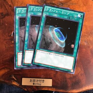 テラ・フォーミング ノーマル