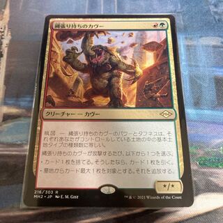 縄張り持ちのカヴー