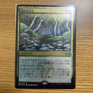 Sterling Grove edging foil Modern Horizon