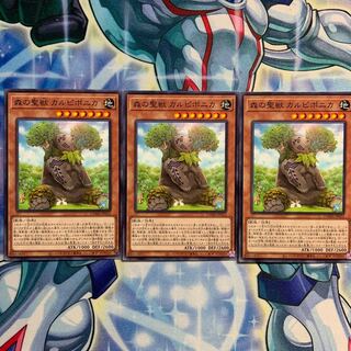 【N】森の聖獣 カルピポニカ 3枚 DAMA-JP022