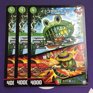 イッコダス・ケイジ｜種デスティニー R 3枚