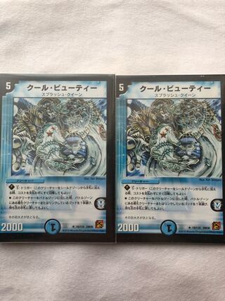 クール・ビューティー　徠翔様専用