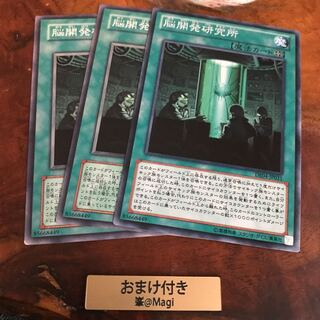 脳開発研究所 ノーマル