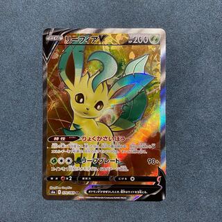 専用　リーフィアV SR マクワSR