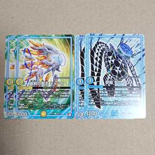 破邪の意志 ティツィ　甲殻 TS-10　各2枚