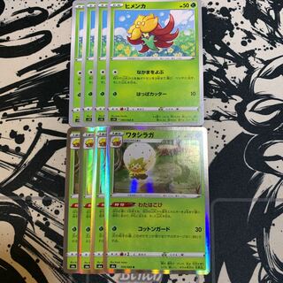 ヒメンカ　ワタシラガR