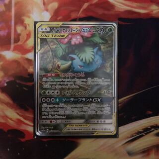 フシギバナ＆ツタージャGX SR