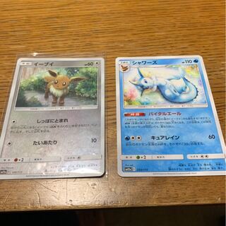 イブーイのシャワーズ進化セット