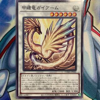 【N】甲纏竜ガイアーム 1枚 DAMA-JP042