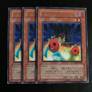 プチトマボー レア