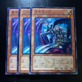 暴風竜の防人 レア