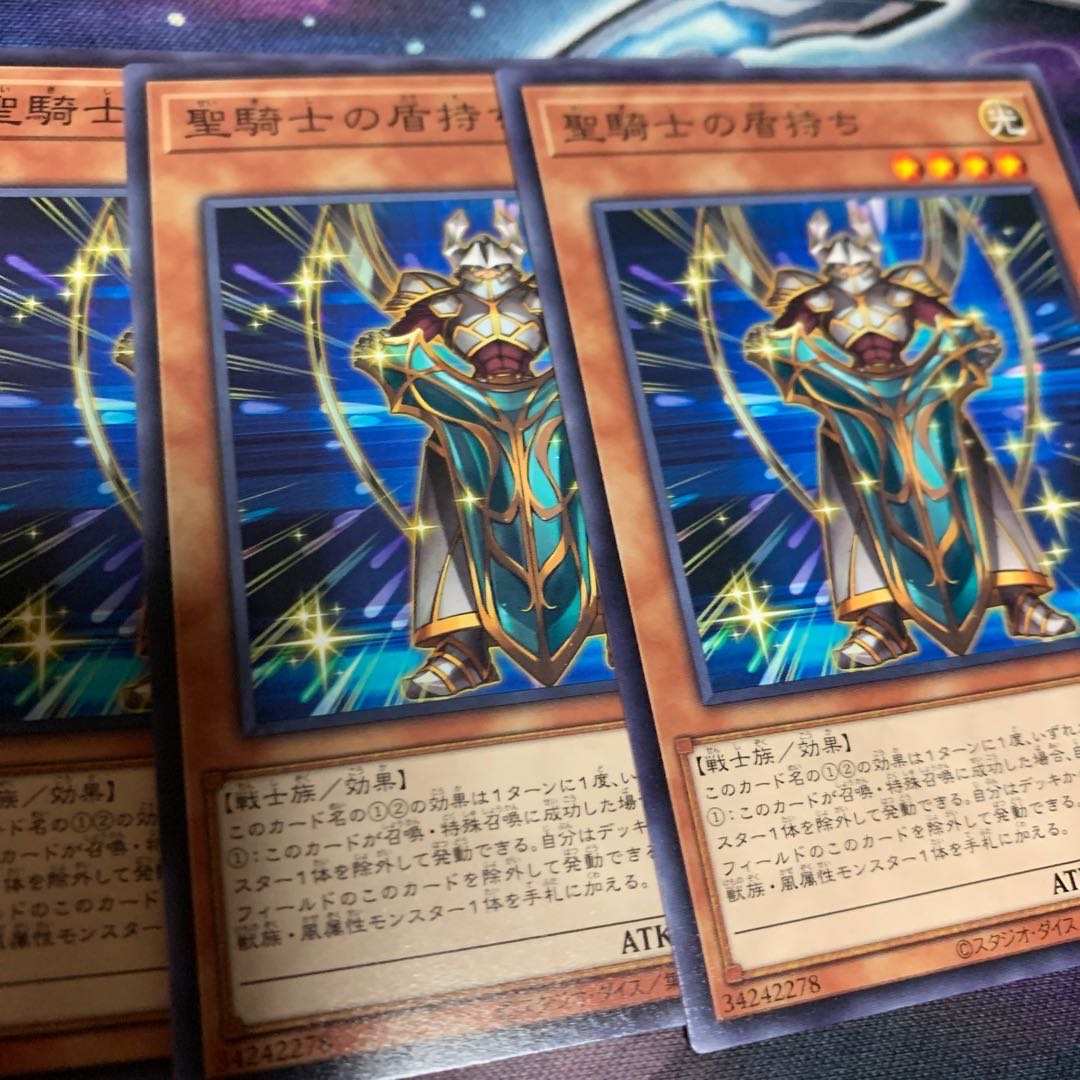 Noble Knight's Shield-Bearer Normal Exclusive