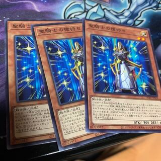 聖騎士の槍持ち ノーマル