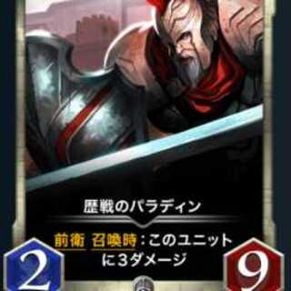 歴戦のパラディン