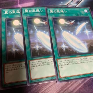 翼の恩返し ノーマル