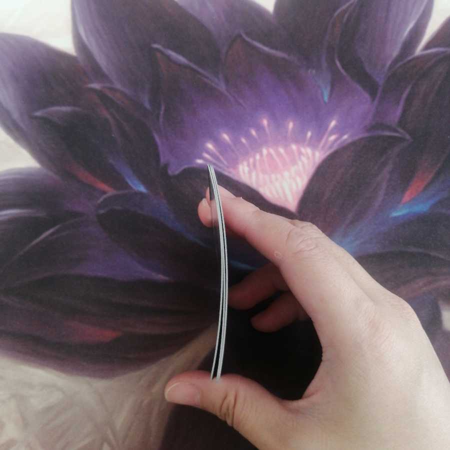 ガールズ・ジャーニー