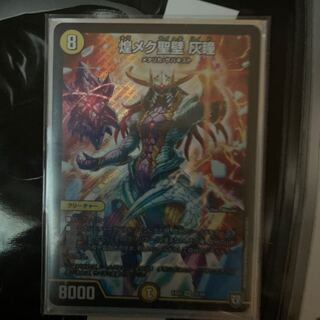 煌メク聖壁灰瞳