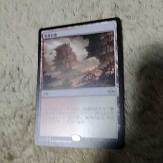 MTG　乾燥台地　日本語