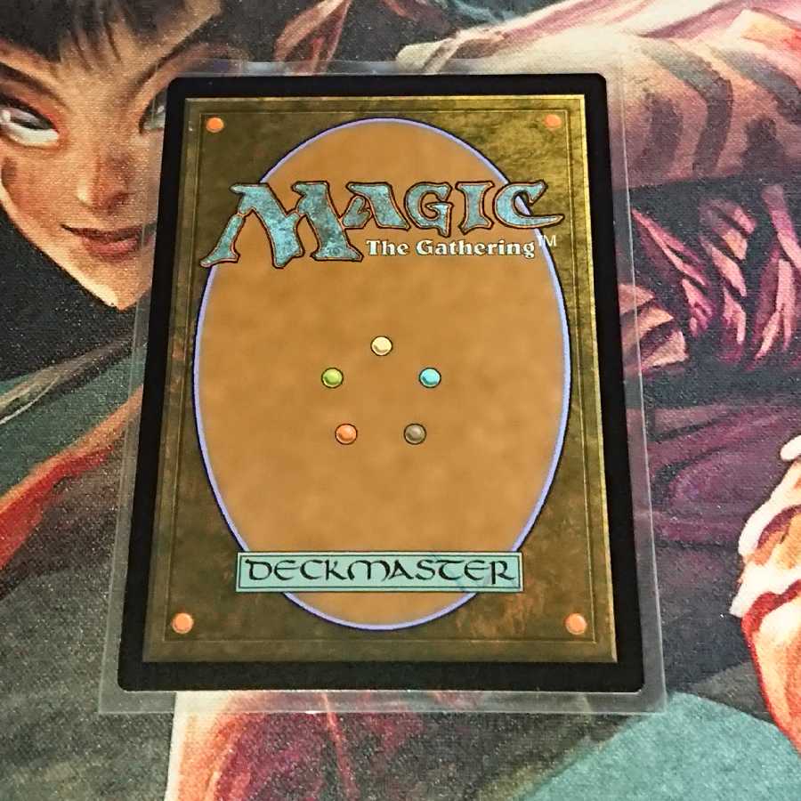 【MTG】湿った墓 ラヴニカのギルド英語