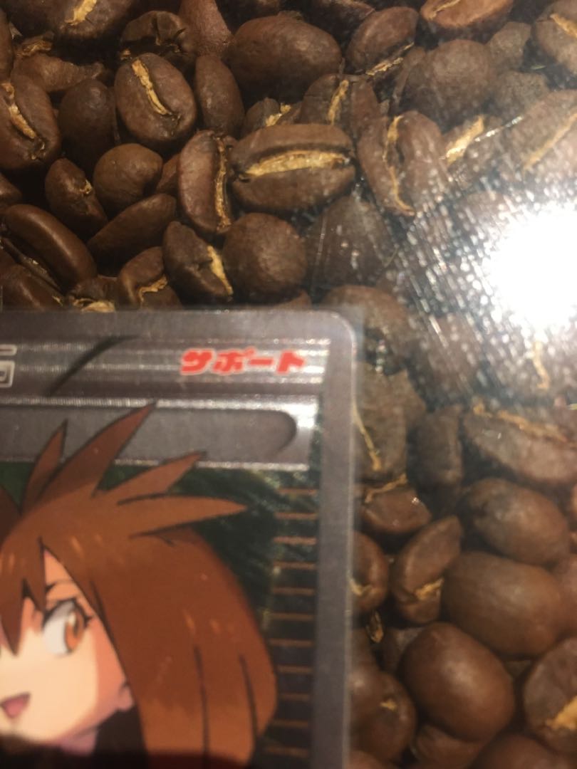 BrigetteSR price reduction for a limited time only.