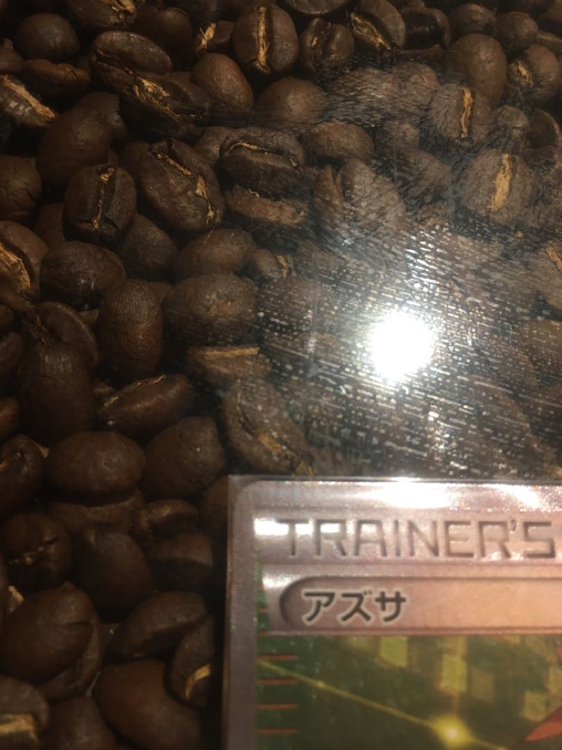 BrigetteSR price reduction for a limited time only.