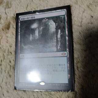 MTG 新緑の地下墓地　日本語