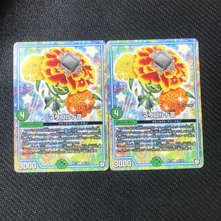 マリゴルド　2枚