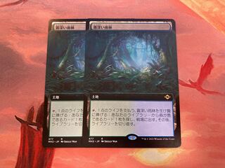 【拡張】なお様専用　霧深い雨林　2枚セット