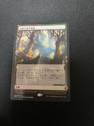 新緑の地下墓地 日本語 Expedition版