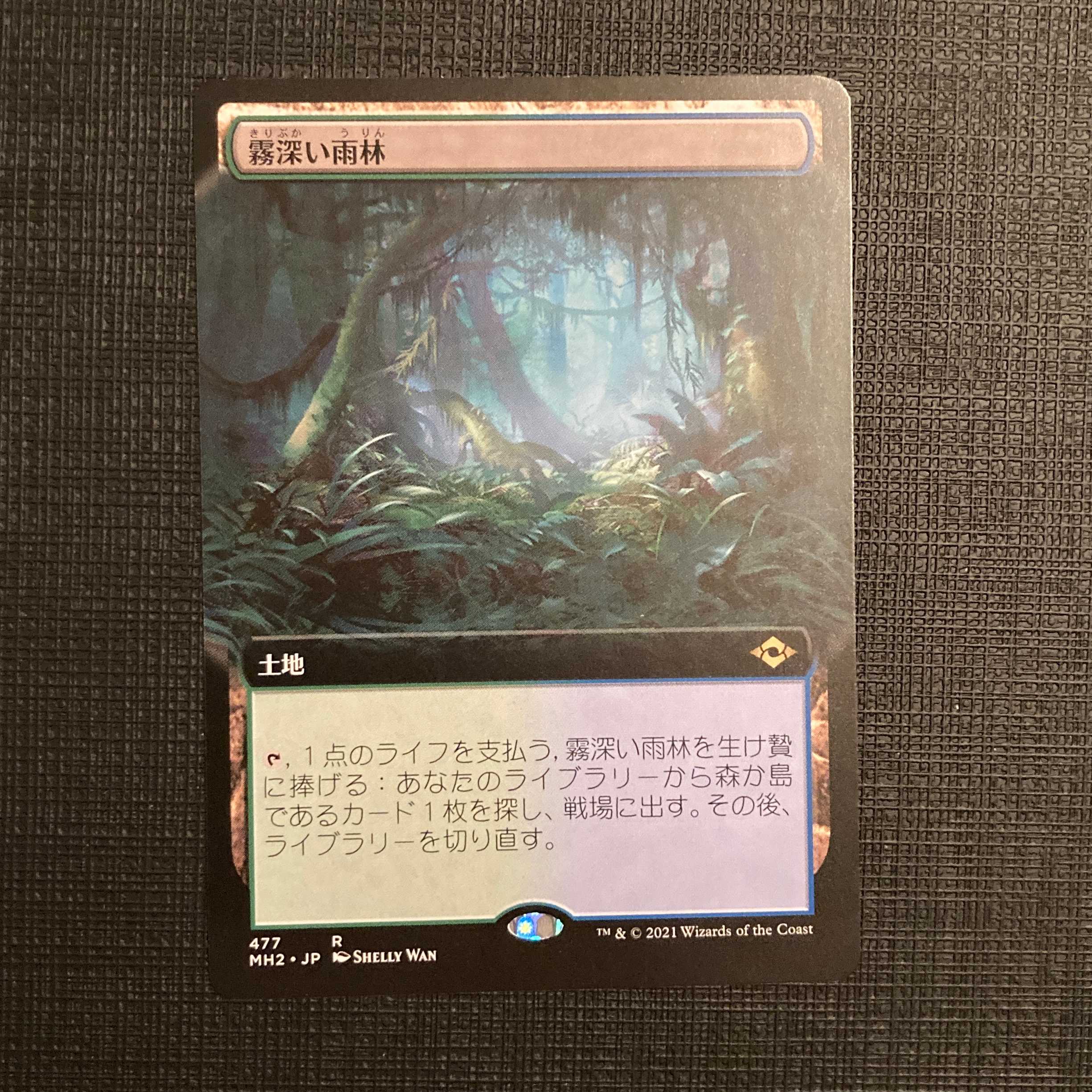 MH2【霧深い雨林】日本語 拡張アート版