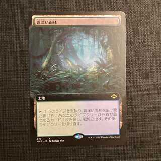 MH2【霧深い雨林】日本語 拡張アート版