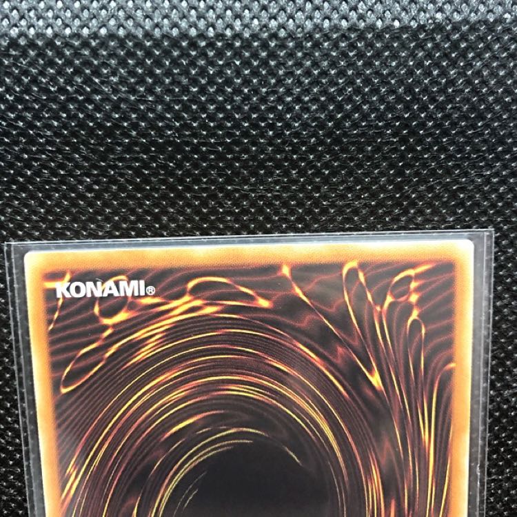 たつおみ様専用 万物創世龍