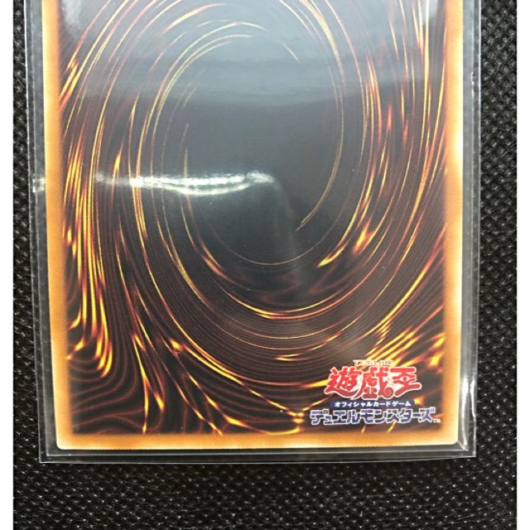 たつおみ様専用 万物創世龍